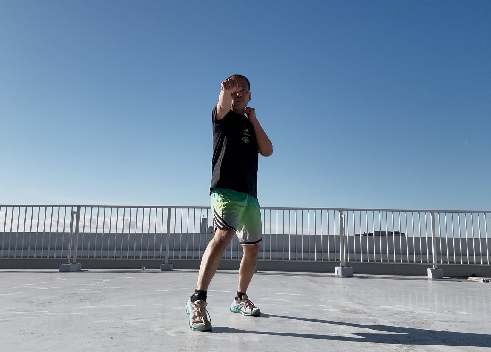 �{�f�B�R���o�b�g105-7,���G�^�C,�R���I,�e�N�j�b�N,�|�C���g